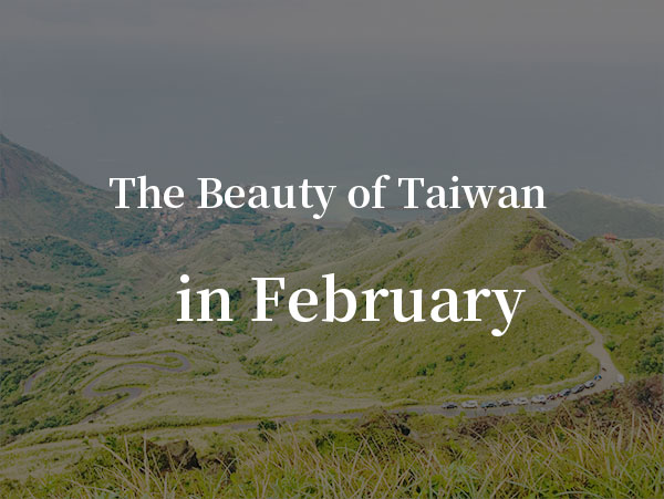 February：Lantern Festival Riddles