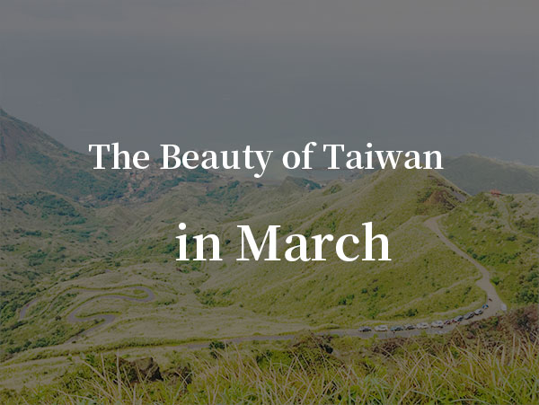 March：Mazu International Festival