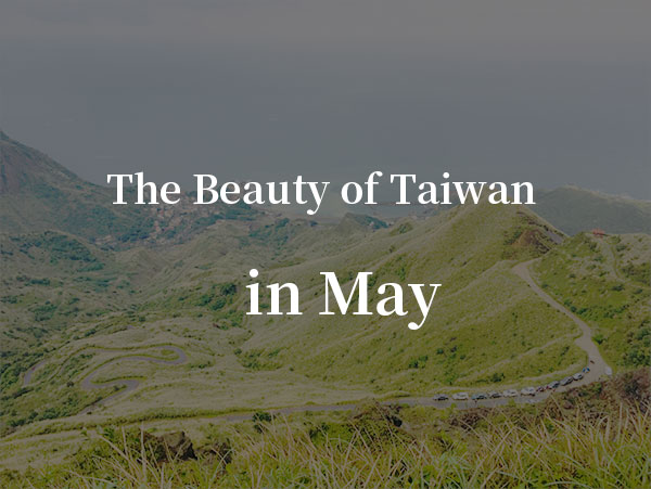 May：Hakka Tung Blossom Festival