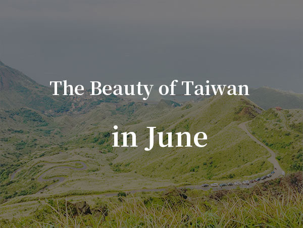 June：Dragon Boat Race, Hydrangea Bloom