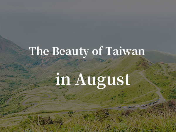 August：Hualien Daylily Season