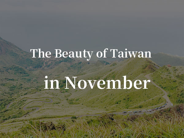 November：Chrysanthemum Exhibition at Shilin Residence